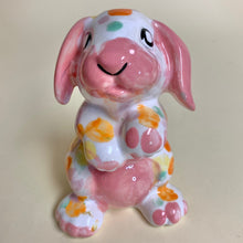 Load image into Gallery viewer, Rabbit Party Animal