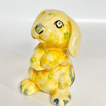 Load image into Gallery viewer, Rabbit Party Animal