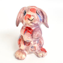 Load image into Gallery viewer, Rabbit Party Animal