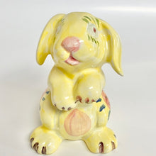 Load image into Gallery viewer, Rabbit Party Animal