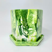 Load image into Gallery viewer, Hexagon Planter With Tray

