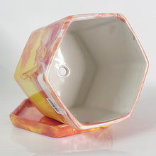 Load image into Gallery viewer, Hexagon Planter With Tray
