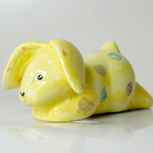 Load image into Gallery viewer, Floppy Bunny
